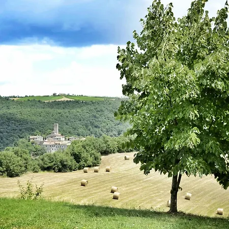 Walnusshaus By Interhome Apartment San Venanzo