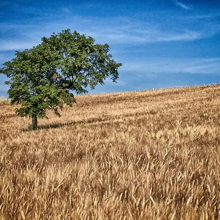 Apartment Walnusshaus By Interhome *