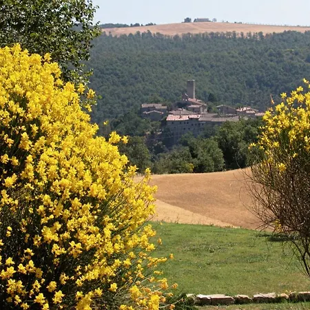 Apartment Walnusshaus By Interhome San Venanzo