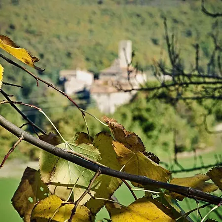 Walnusshaus By Interhome