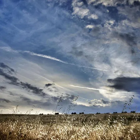 Apartment Walnusshaus By Interhome San Venanzo