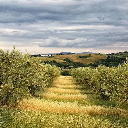 Walnusshaus By Interhome