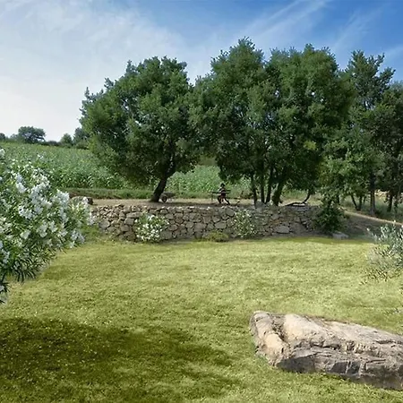 Walnusshaus By Interhome