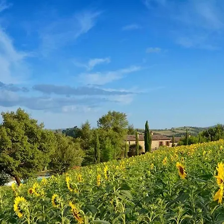 Walnusshaus By Interhome * San Venanzo