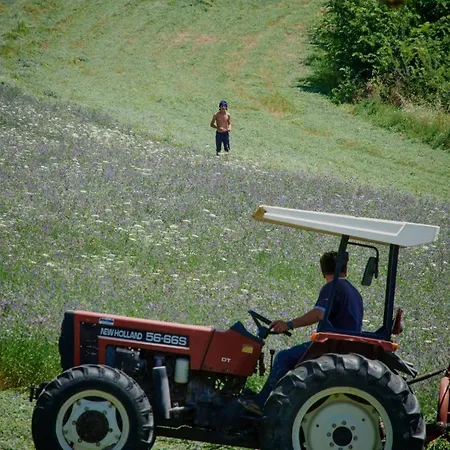 Walnusshaus By Interhome