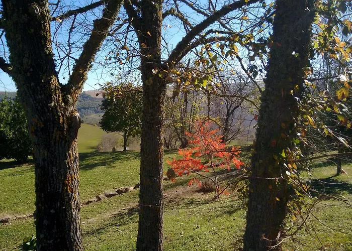 Appartamento Walnusshaus By Interhome *