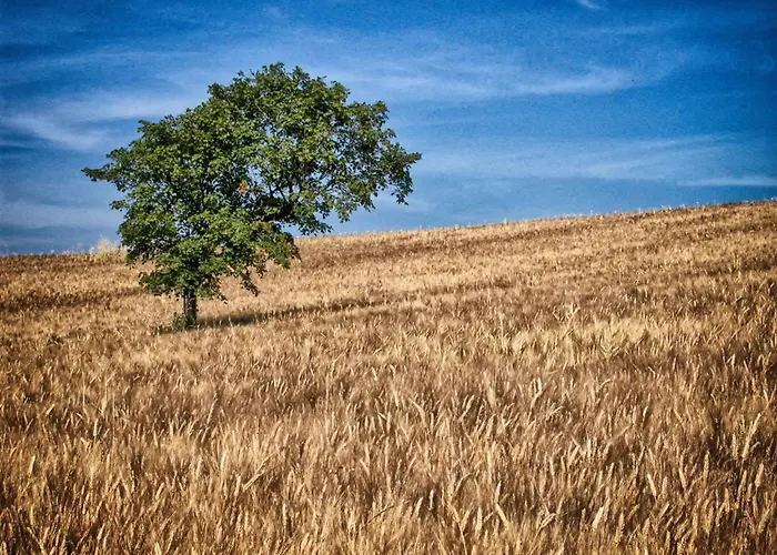 Apartmán Walnusshaus By Interhome *
