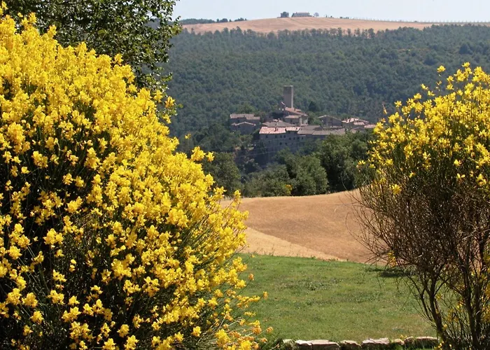 Appartamento Walnusshaus By Interhome San Venanzo