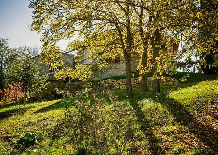 Walnusshaus By Interhome