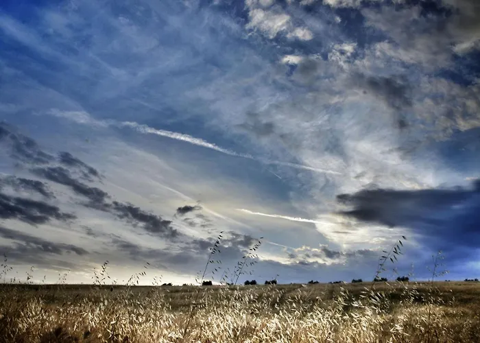 Appartamento Walnusshaus By Interhome San Venanzo