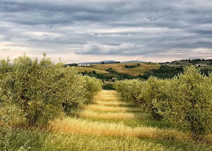 Walnusshaus By Interhome