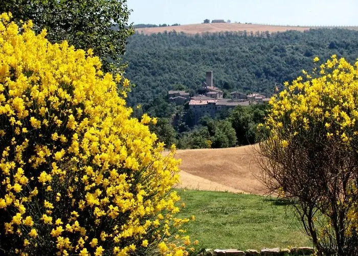 Walnusshaus By Interhome * San Venanzo