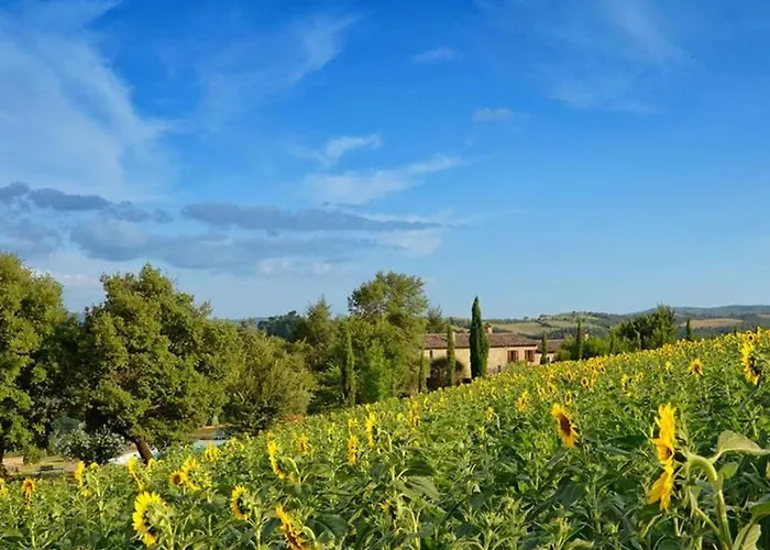 Walnusshaus By Interhome * San Venanzo