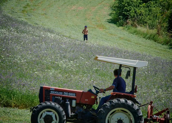 Walnusshaus By Interhome